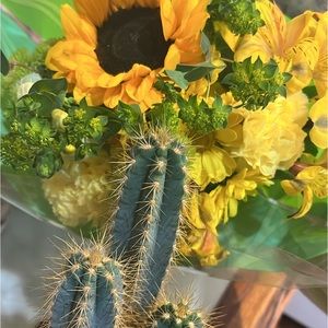 Meet your Posher, Jeniffer